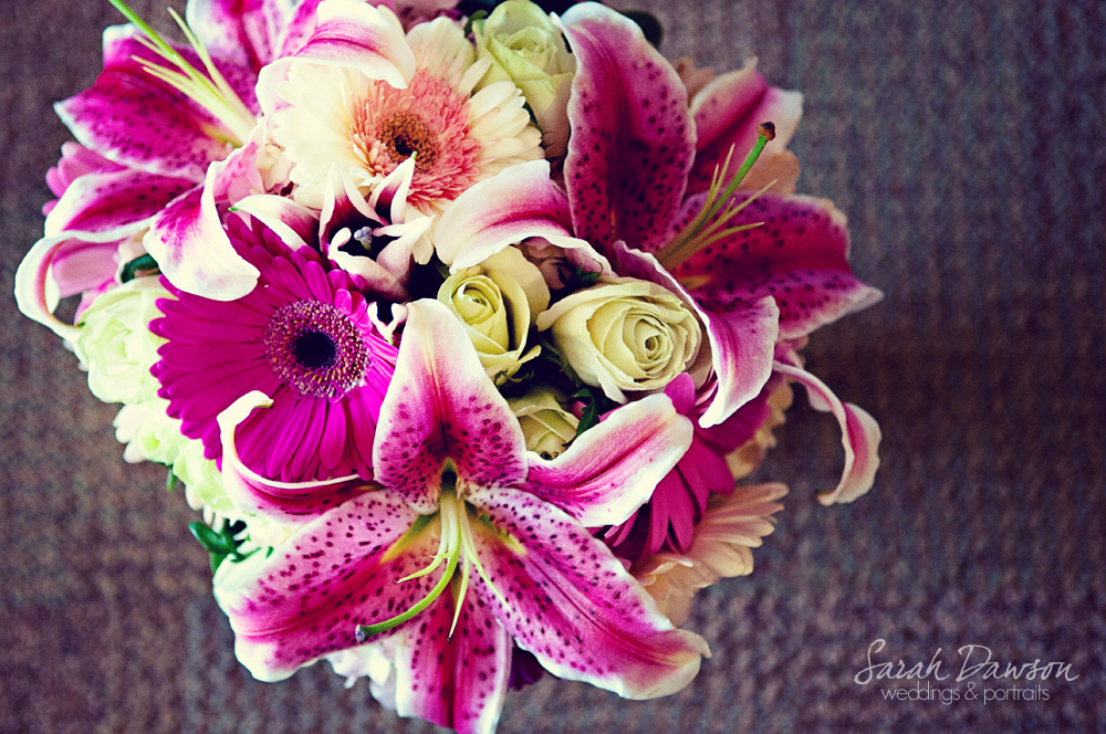 for blog cnb-003