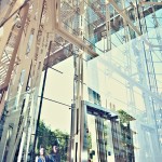 aceng-015 aceng-015