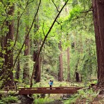Sarah Dawson Photography