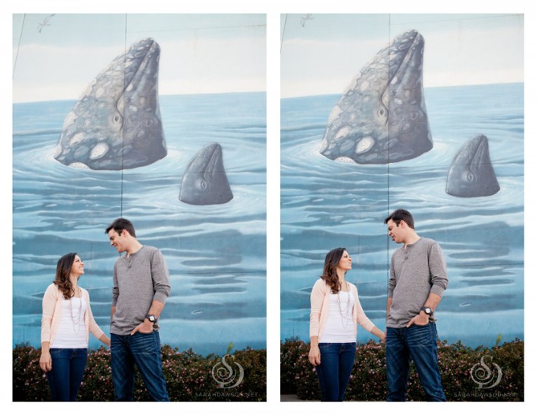 san francisco engagement session sarah dawson photography-02