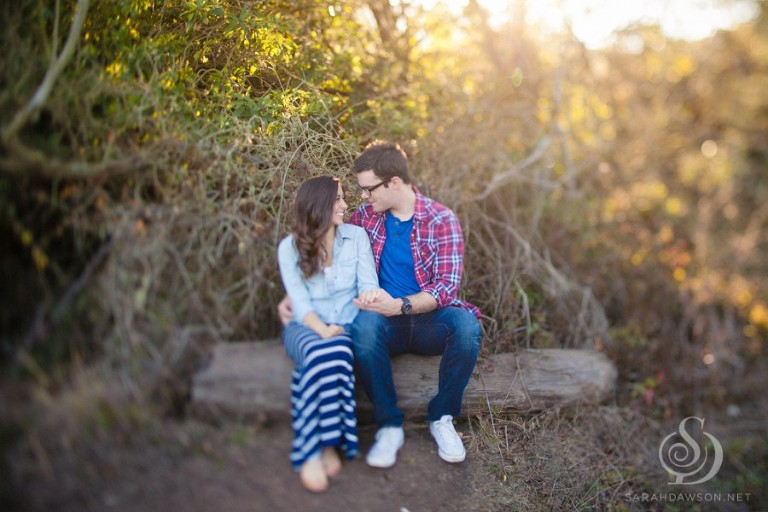 san francisco engagement session sarah dawson photography-04