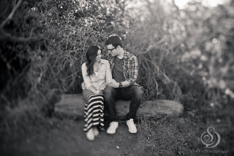san francisco engagement session sarah dawson photography-08