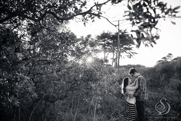 san francisco engagement session sarah dawson photography-10