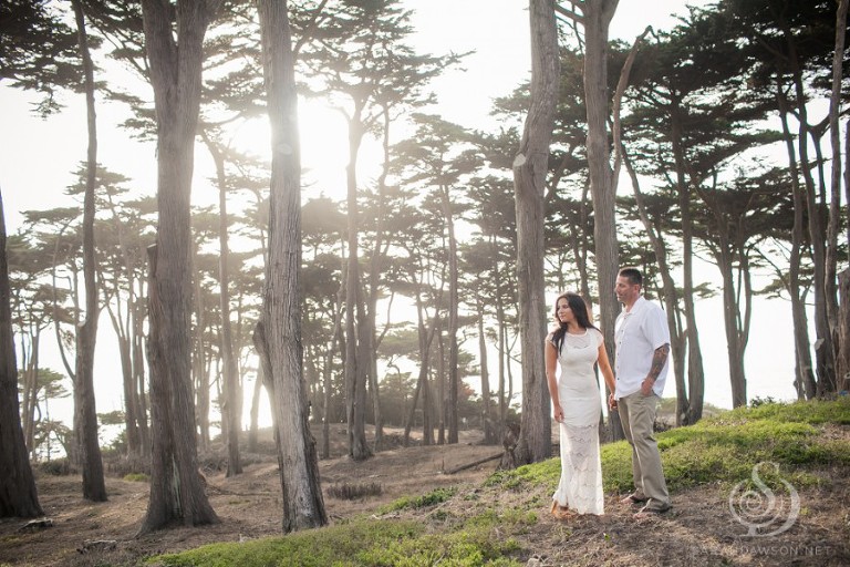 san francisco wedding portrait engagement session photographer sarah dawson_0015
