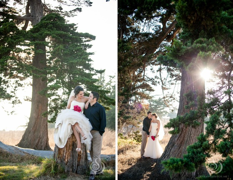 santa cruz beach bridal session sarah dawson photography_0004