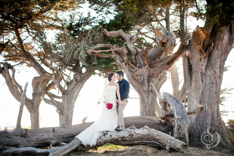 santa cruz beach bridal session sarah dawson photography_0005