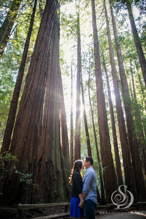 ellen and jon engaged web-11
