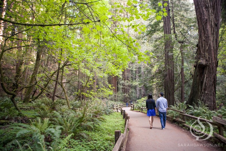 ellen and jon engaged web-14