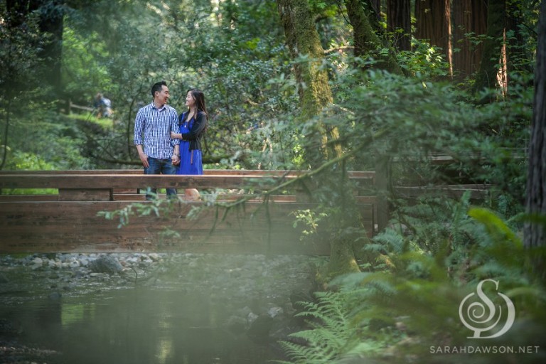 ellen and jon engaged web-5