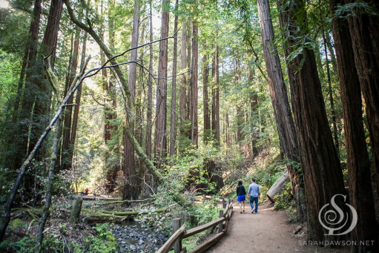 ellen and jon engaged web-7