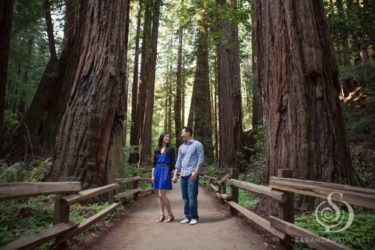 ellen and jon engaged web-9