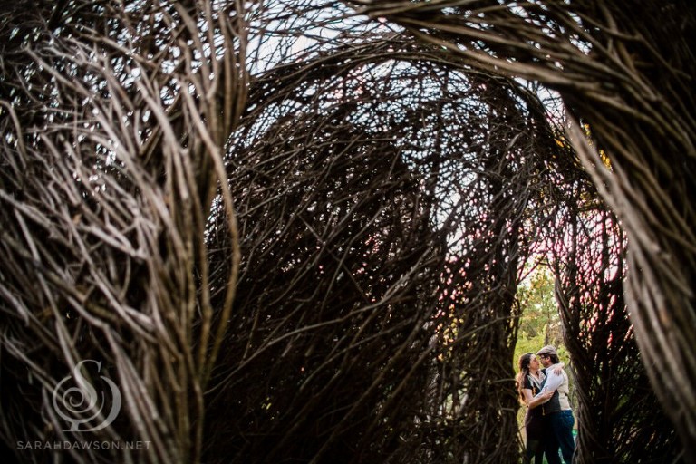 houston rice college engagement session portraits sarah dawson photography-95-2