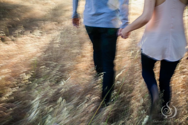em and jon engaged mount diablo engagement session sarah dawson photography-10