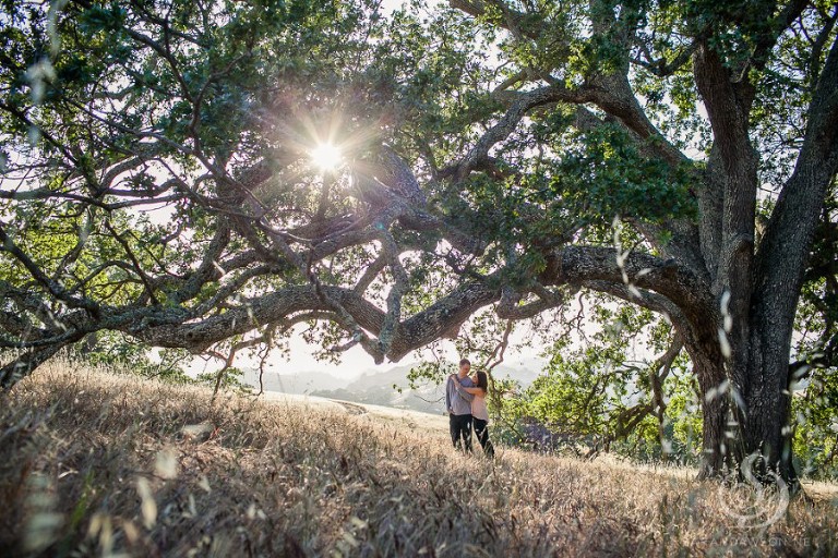 em and jon engaged mount diablo engagement session sarah dawson photography-11