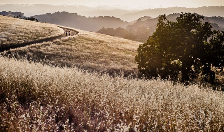em and jon engaged mount diablo engagement session sarah dawson photography-14