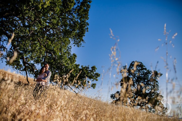 em and jon engaged mount diablo engagement session sarah dawson photography-8