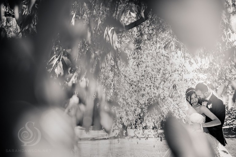 tatyana and steve wedding final-1-2