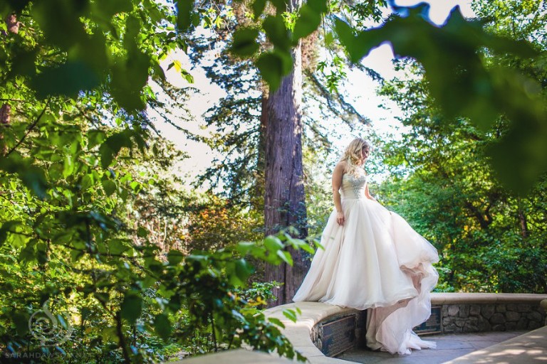 photography sarah dawson photographer piedmont wedding oakland-1-12