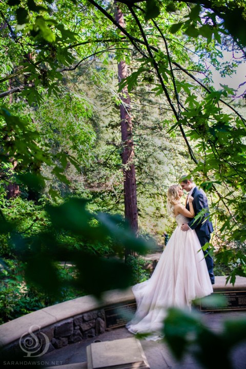 photography sarah dawson photographer piedmont wedding oakland-1-14