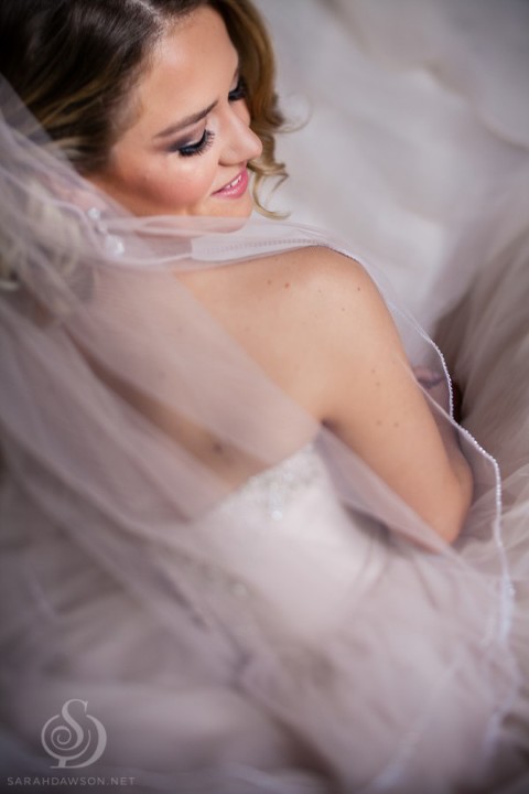 photography sarah dawson photographer piedmont wedding oakland-1-4