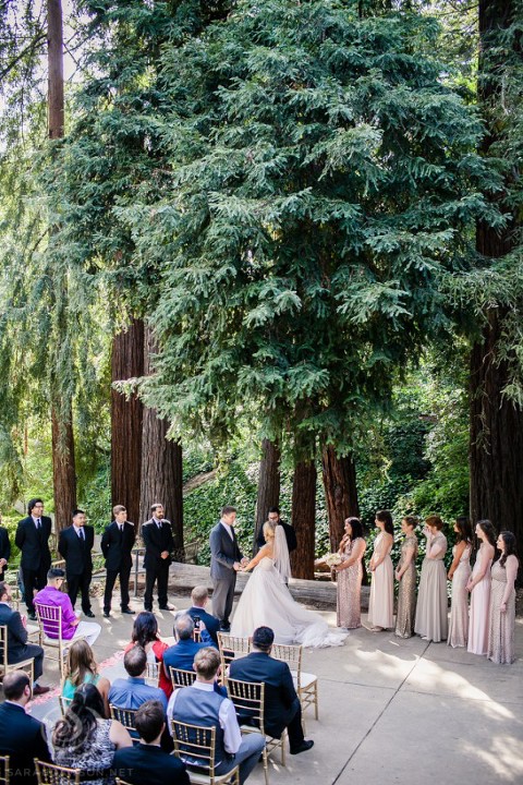 photography sarah dawson photographer piedmont wedding oakland-1-6