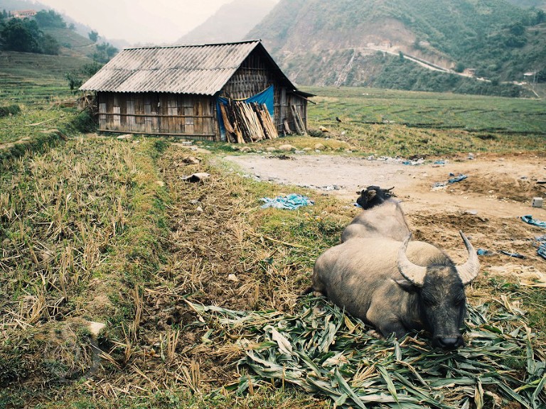 OLYMPUS DIGITAL CAMERA Processed with VSCOcam with g3 preset