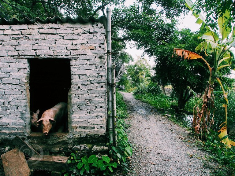 OLYMPUS DIGITAL CAMERA Processed with VSCOcam with c1 preset