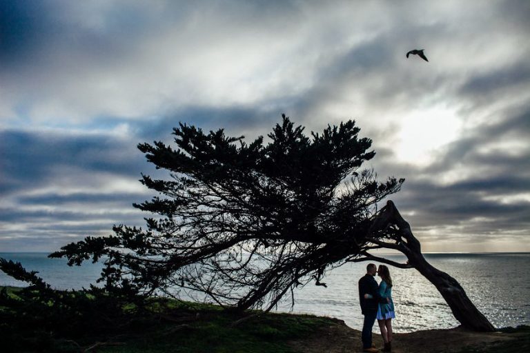 hmb- halfmoonbay-engagement-wedding-sarahdawsonphotography-13