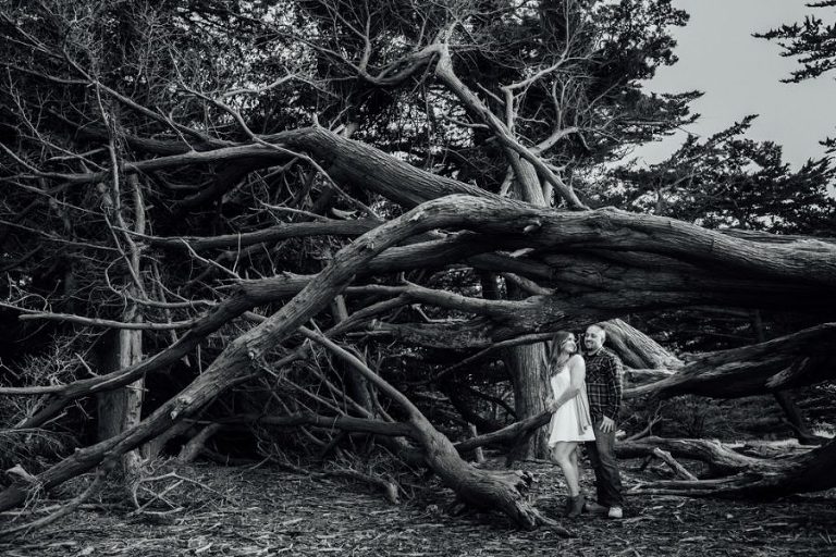 hmb- halfmoonbay-engagement-wedding-sarahdawsonphotography-9