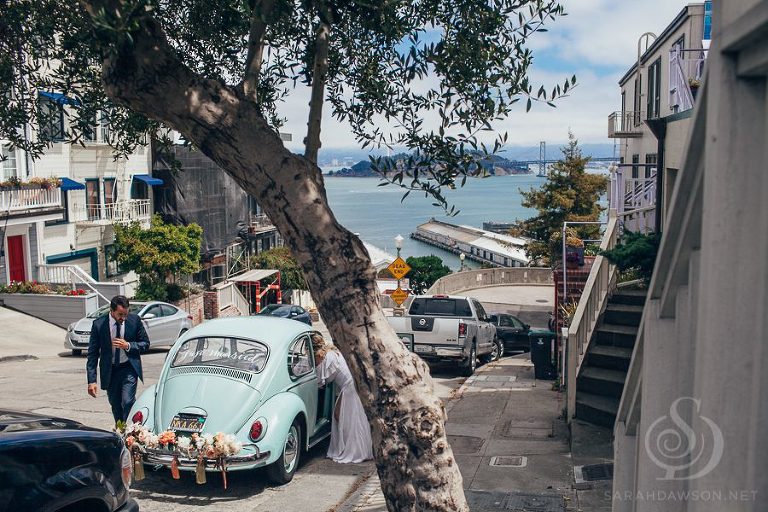 san francisco city hall wedding elopement photography sarah dawson972